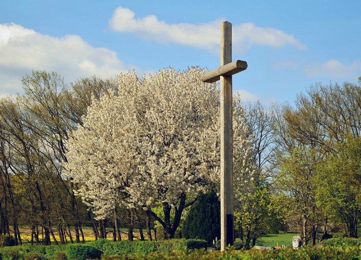 Ein Kreuz inmitten erwachender Frühlingsnatur. © Pixabay